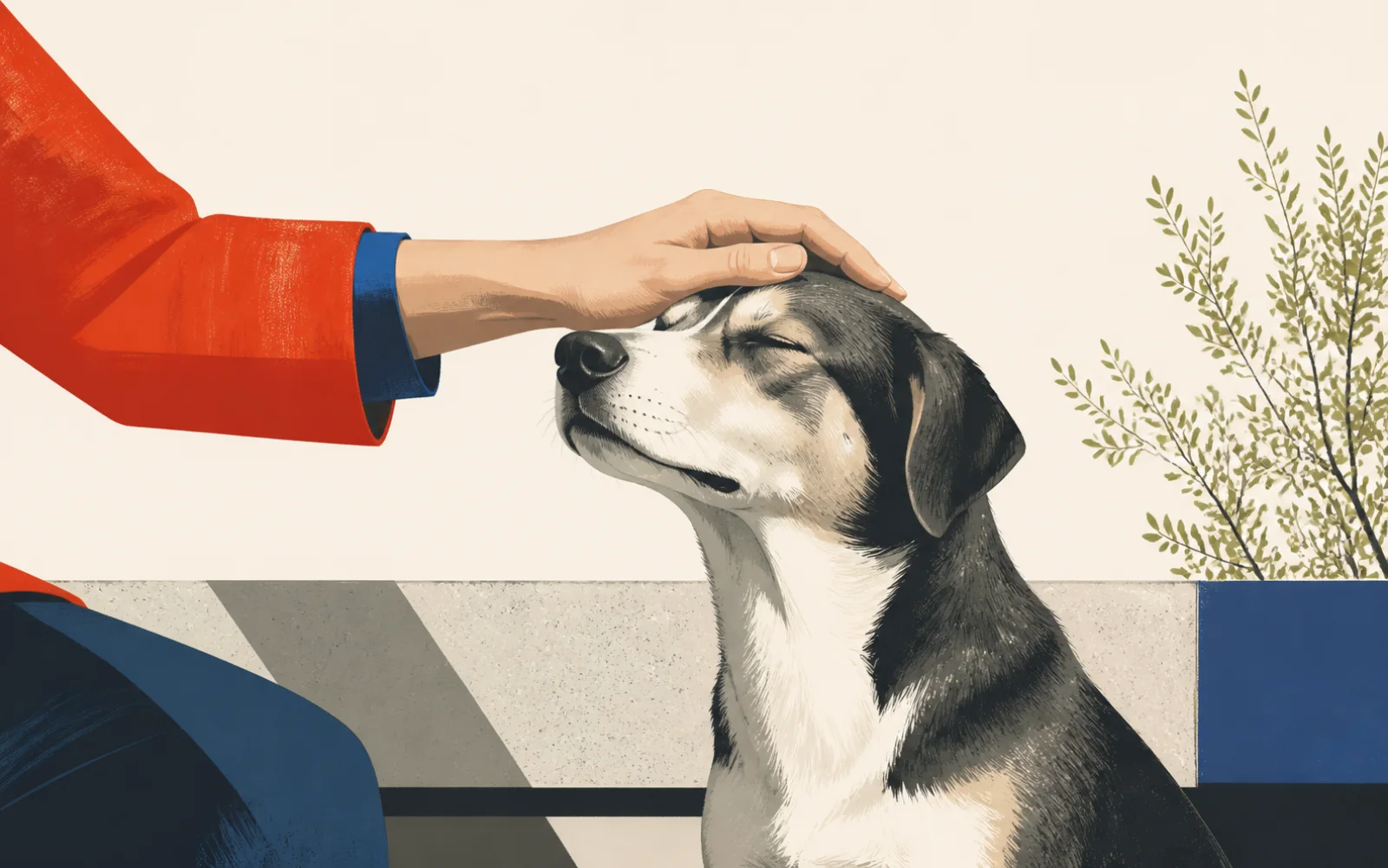 Иллюстрация к сочетанию dog-petting